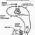 chevy starter wiring diagram for 2000