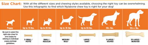 chew levels for dogs