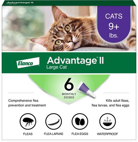 chewy cat flea treatment