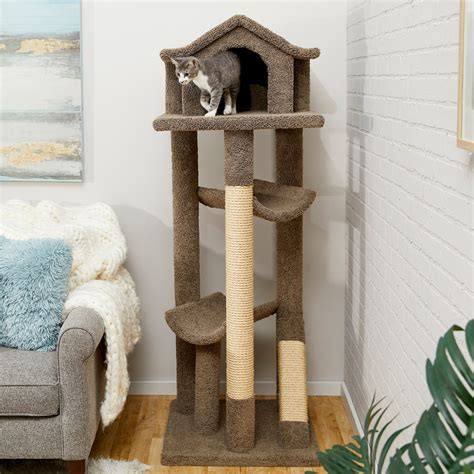 Chewy Tree Cat Tree