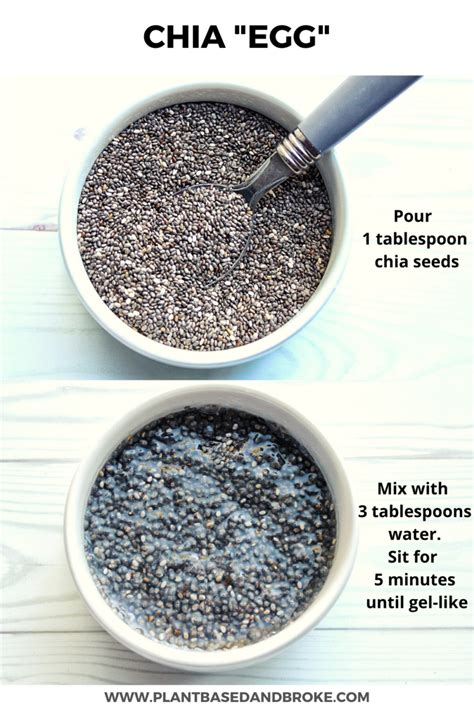 Chia Seed Egg Replacement Ratio