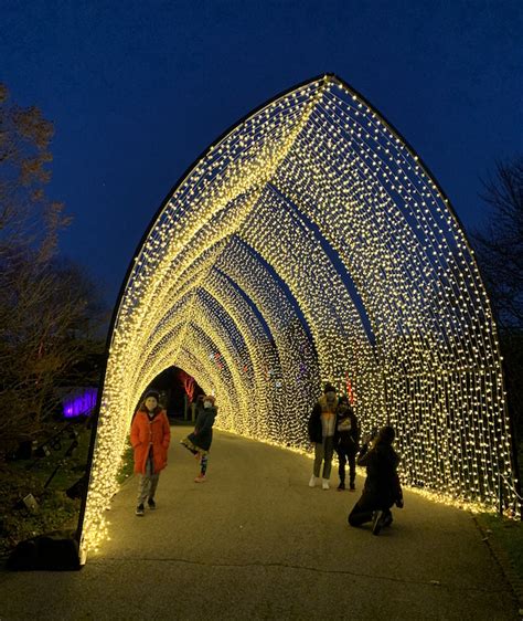 Explore The Enchanting Chicago Botanic Garden Lights In 2023