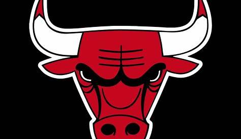 Facts You Need to Know about the Chicago Bulls — We Are Basket