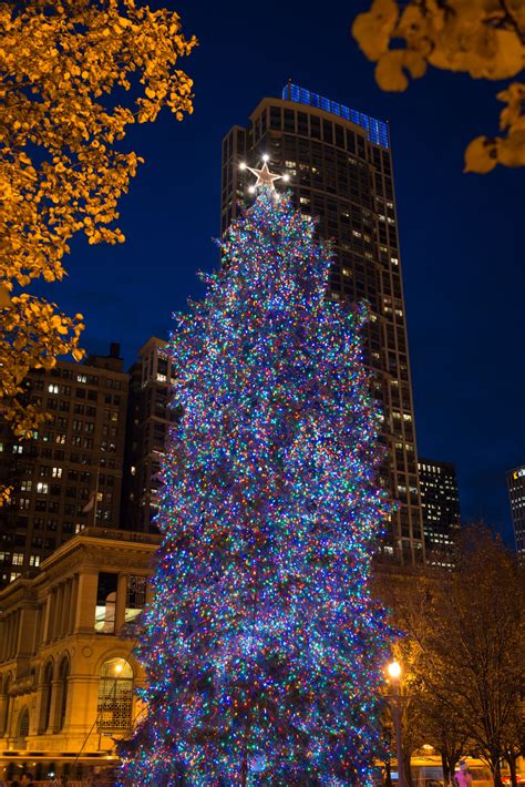 Chicago&#039;s Christmas Tree: A Festive Tradition