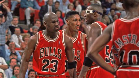 chicago bulls 1993 team