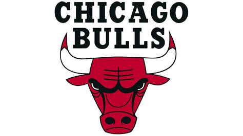 chicago bulls name logo