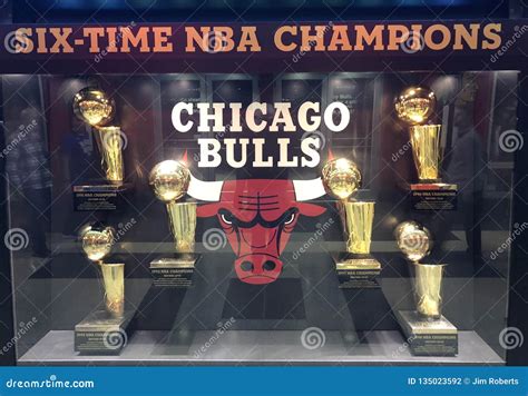 chicago bulls national championships