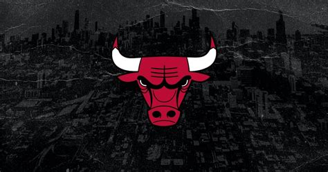 chicago bulls profile pic