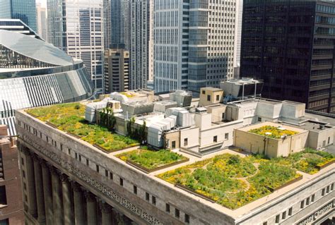 chicago city hall green roof