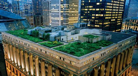 chicago city hall rooftop garden