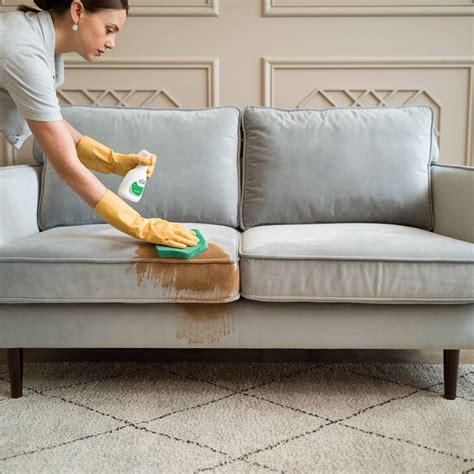 Chicago Couch Cleaning Services