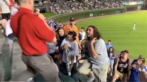 Chicago Cubs Fan Fight
