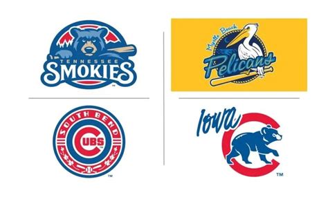 chicago cubs minor league teams