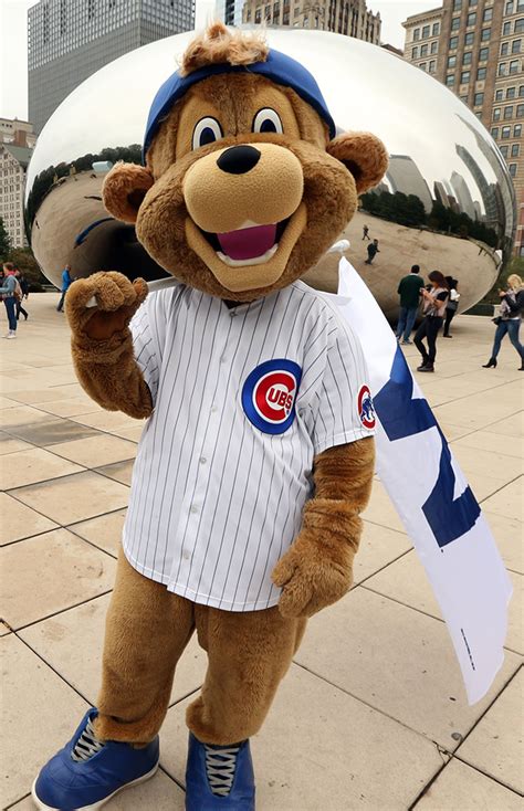 chicago cubs new mascot