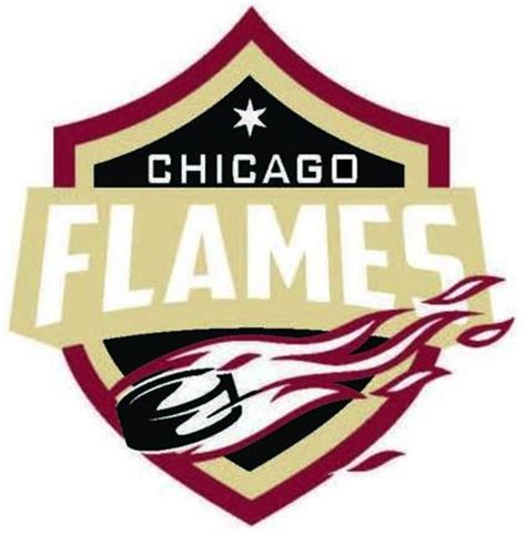chicago flames youth hockey hotel damage