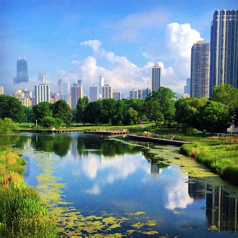 chicago lincoln park skyline