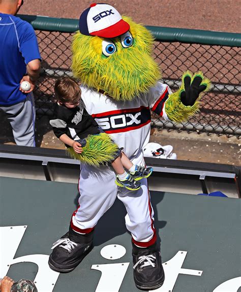 chicago white sox baseball mascot