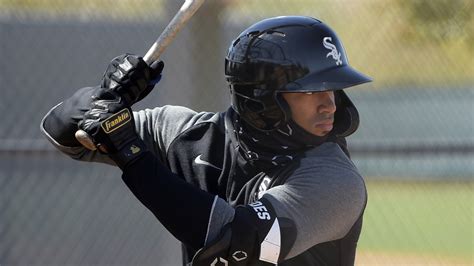 chicago white sox prospects