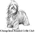 chicagoland bearded collie club