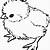 chick coloring page