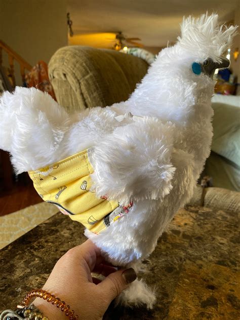 Did You Know That Chicken Diapers Are Popular?