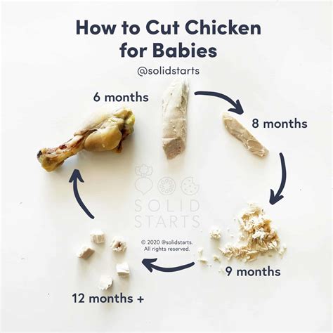 Basic Chicken Baby Food Recipe (4+months Stage 1) Baby Foode