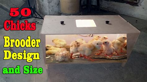 Chicken Brooder Dimensions
