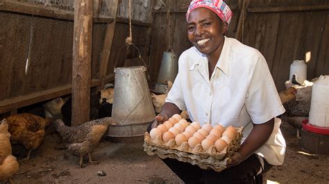 chicken business in kenya