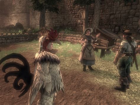 chicken chaser fable