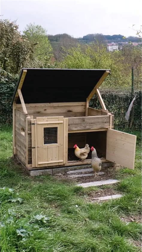 Chicken Coop Hinged Roof