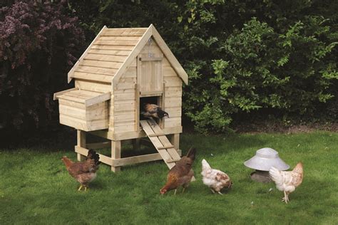 chicken coop meaning