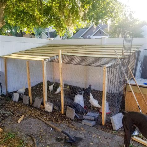Chicken Coop Reddit