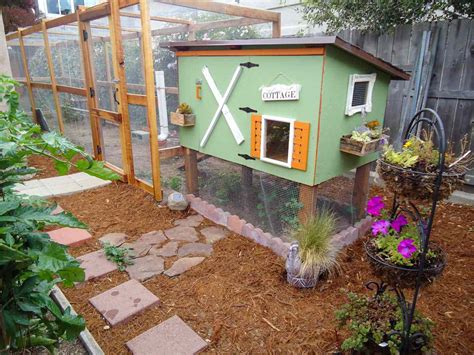 Chicken Coop Side Yard