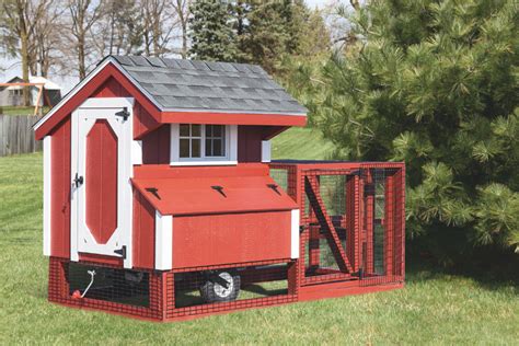Chicken Coops Albuquerque