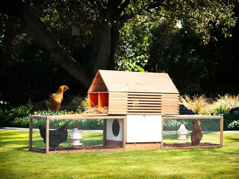Chicken Coops For Multiple Breeds