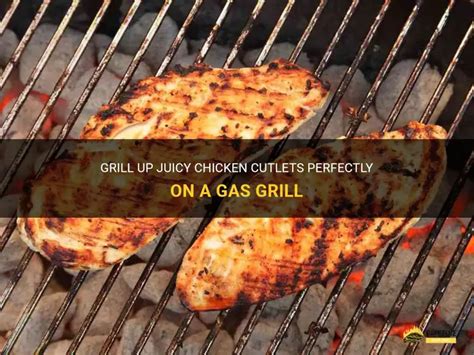 Chicken Cutlets Gas Grill