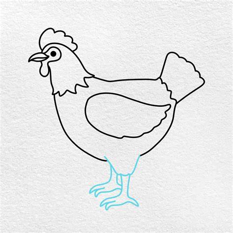 chicken drawing front view