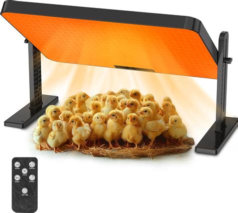 Chicken Heater And Brooder