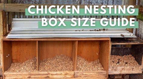Chicken Laying Boxes Size