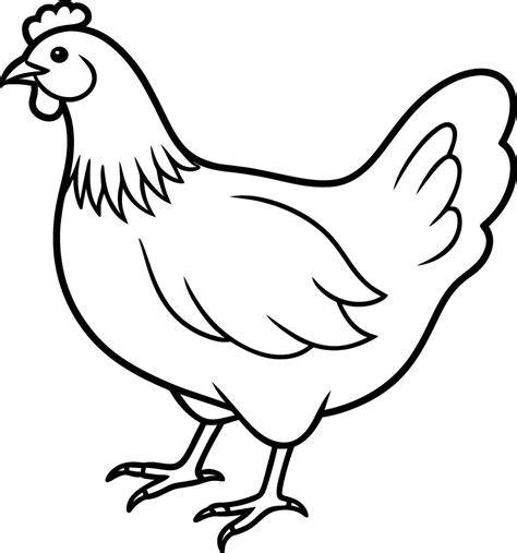 Chicken Line Illustration Illustrations Creative Market