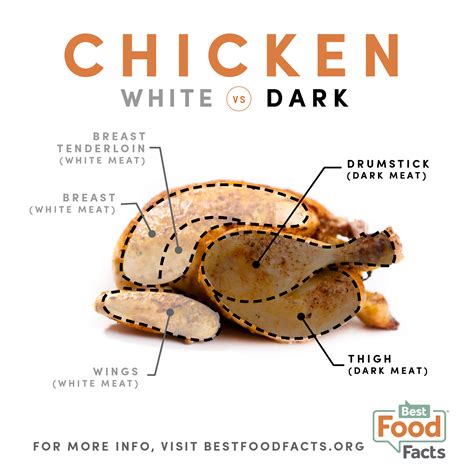 Chicken Meat Dark