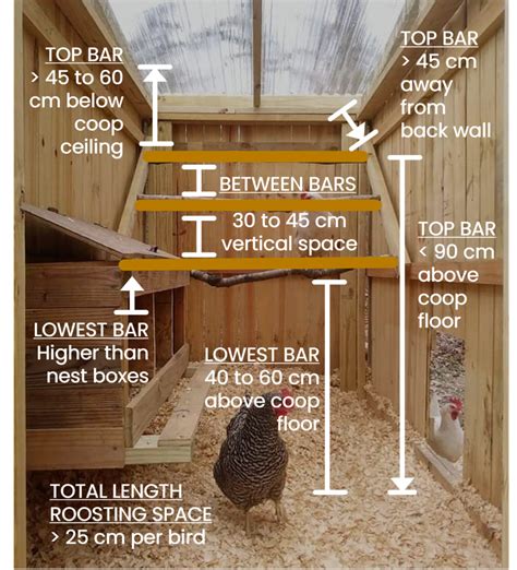 Chicken Roost Bar Height