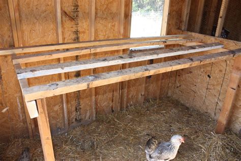 chicken roosts for sale