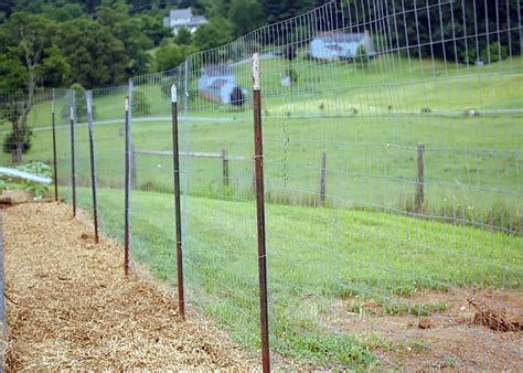 Chicken Run Fence Posts