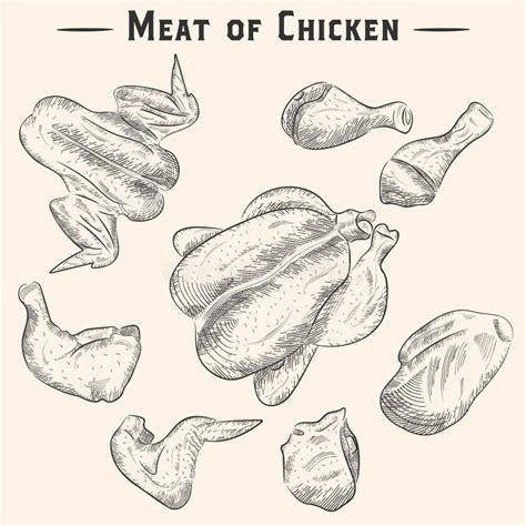 chicken thigh drawing