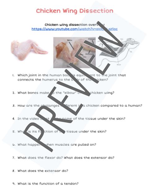 Chicken Wing Dissection Lab Answer Key
