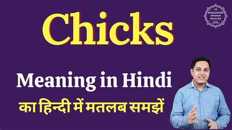 chicks meaning in telugu