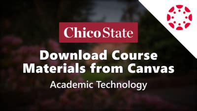 5 Chico State Canvas Tips