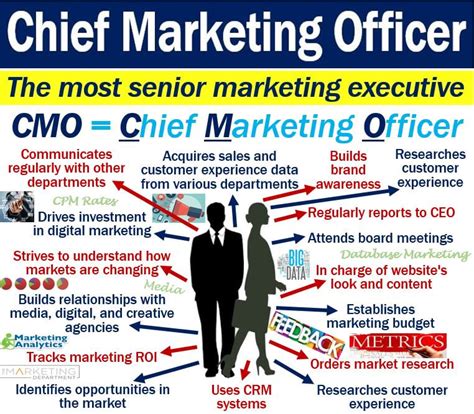 Free Chief Marketing Officer (CMO) Job Description