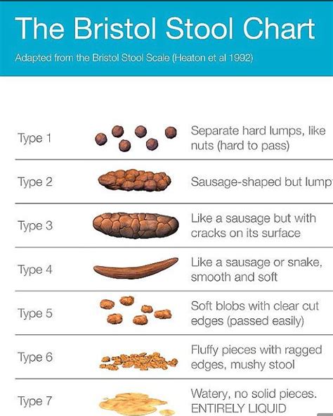Child With Large Stools